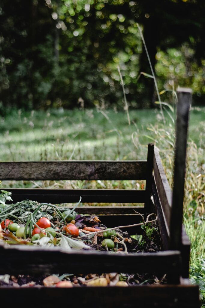 Compost made from food scrapes