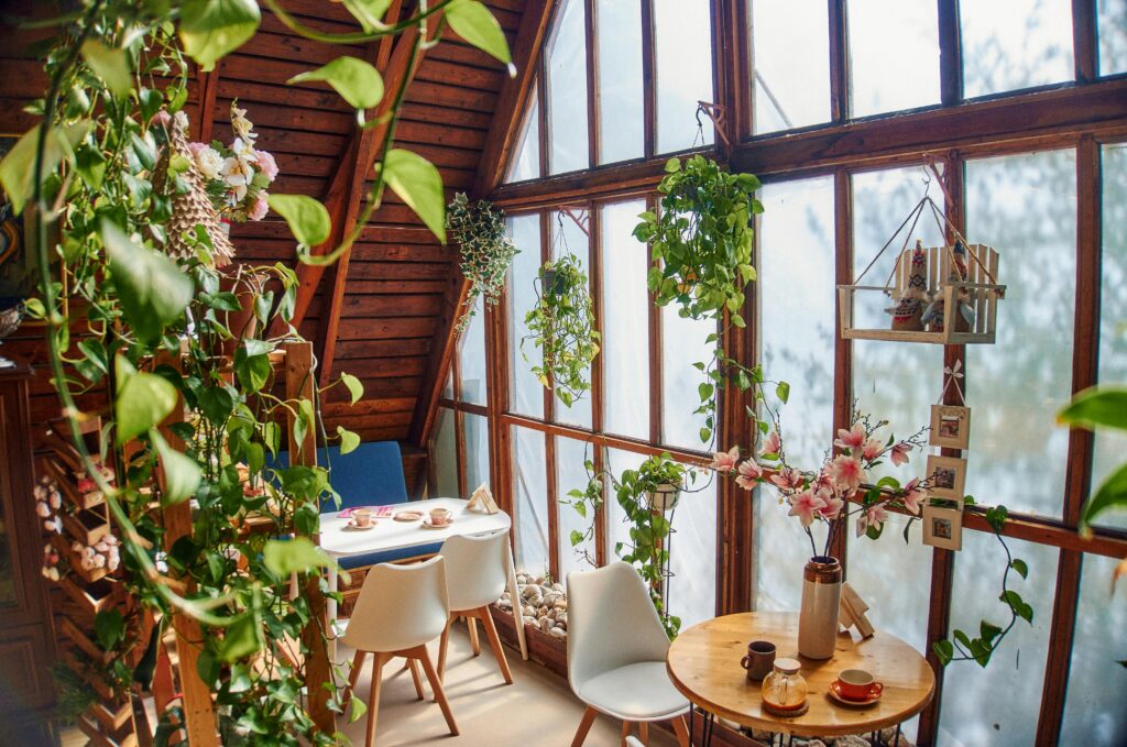 Apartment gardening blog's cover, showing a room filled with plants, and a seating arrangement.