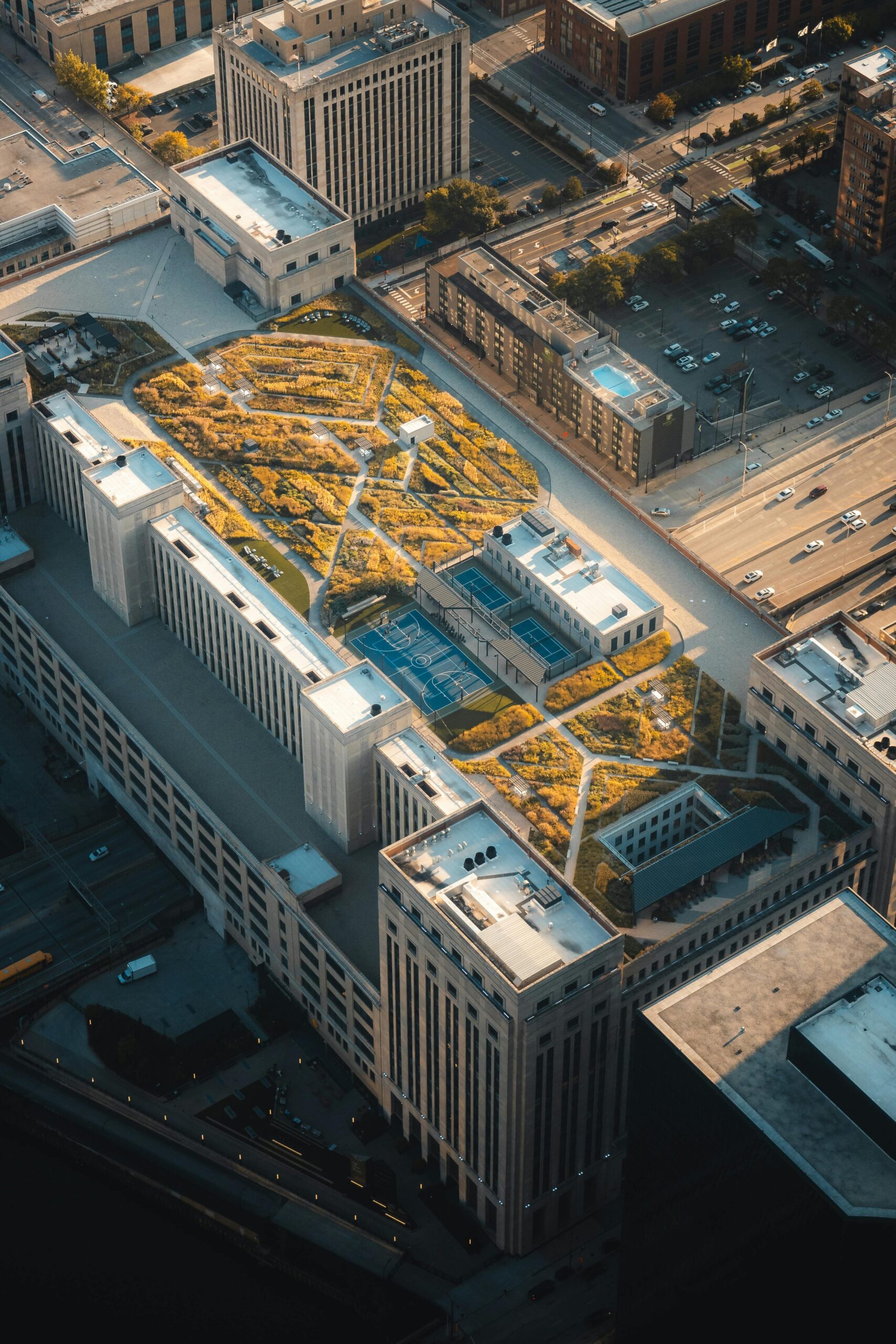 Rooftop gardening