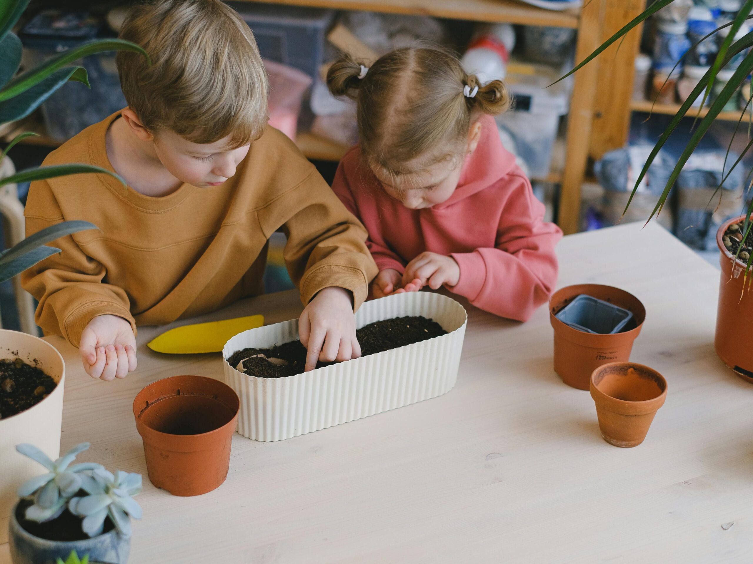 kids planting seeds in a pot.