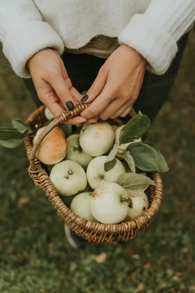 Close-up of a woman holding a basket of green apples, capturing a cozy fall atmosphere.