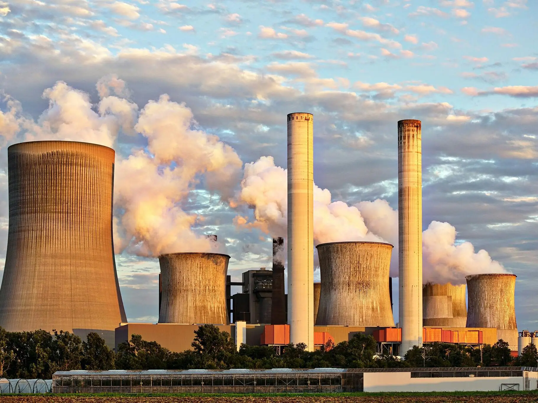 Carbon Management: The Ultimate Guide