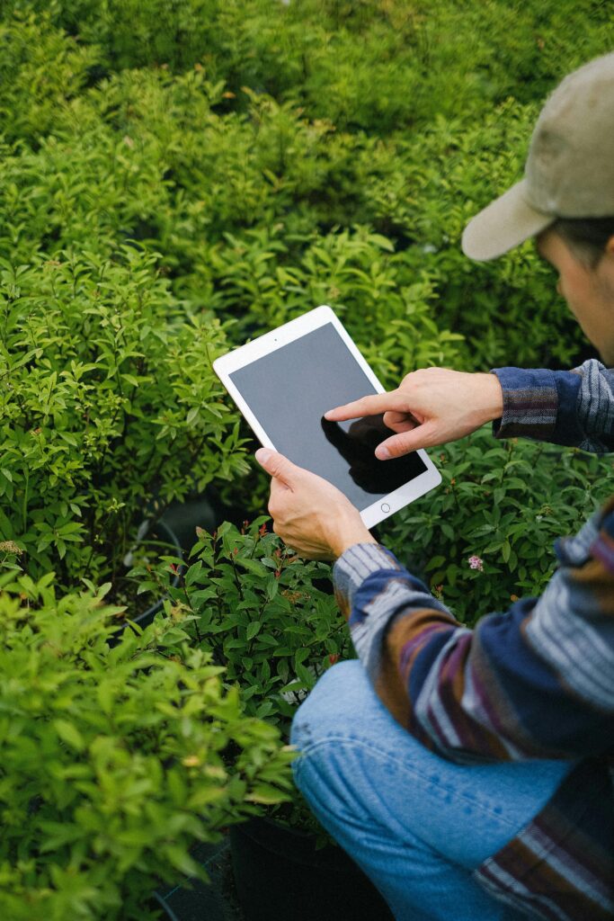 Gardener using a tablet to monitor crops in a greenhouse, enhancing efficiency.